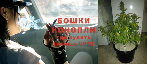 кокаин колумбия Новозыбков